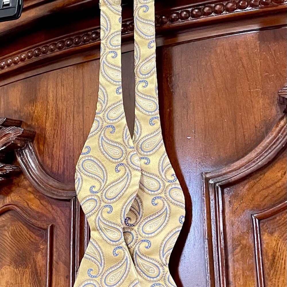Elegant Paisley Tie in Gold and Blue